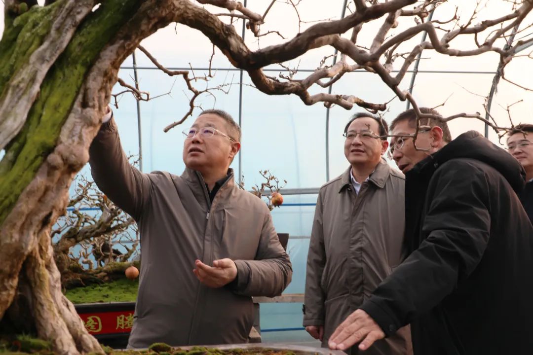 ���f��ί����ӛ������ί��ӛ����(gu��)�ށ�F�ǅ^(q��)�{(di��o)��ʯ��a(ch��n)�I(y��)�l(f��)չ����